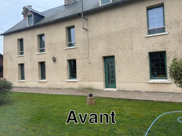 Réalisation : taille de haies de propriété en Normandie