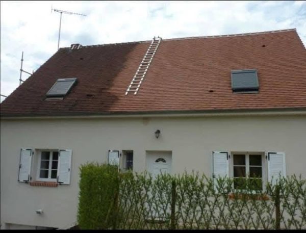 Réalisation : élagage d'arbres en hauteur dans la Manche
