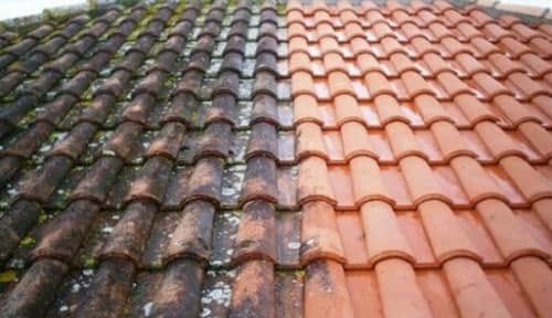 Réalisation : haie remise au carré par Élagage Normandie